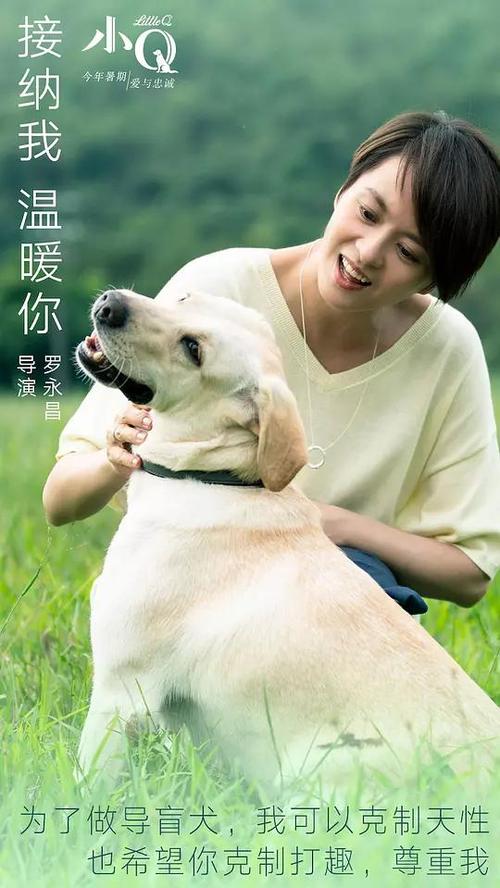 日本共立药科大学学位证电子图